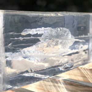 Bloco 16x8x8 Polegadas – Gelatina Balística Transparente – Red Ballistics – Calibrada A 10% - Imagem 5