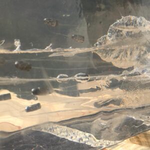 Bloco 16x8x8 Polegadas – Gelatina Balística Transparente – Red Ballistics – Calibrada A 10% - Imagem 3